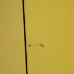 Groß (Bild 1098)